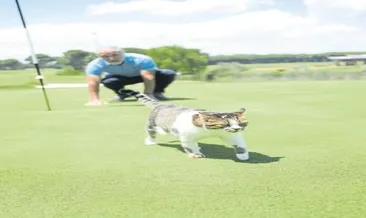 Golf sahasının maskotu oldular