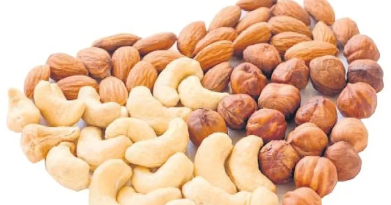 kolay okunan ruh sağlığı broşürleri kalp yüksek tansiyon bakterileri
