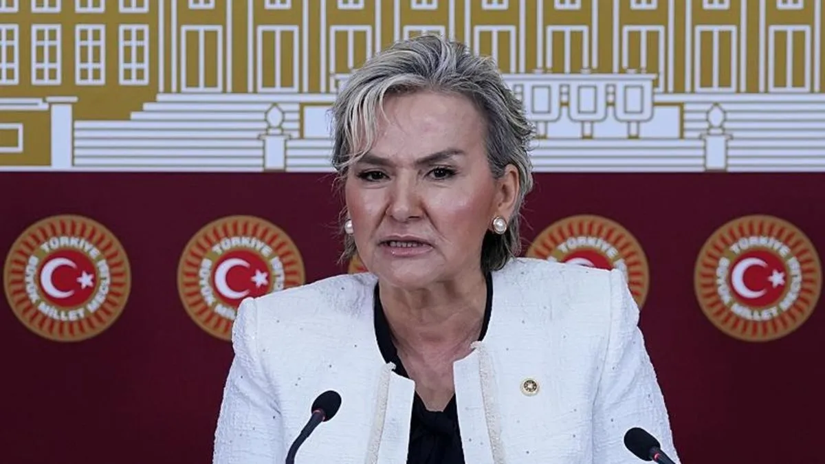 İyi Parti'de bir istifa daha! Nimet Özdemir de ayrıldı