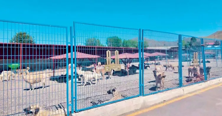 Erzurum örnek oldu