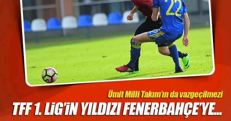 Fenerbahce Dorukhan Tokoz Un Pesinde Spor Haberleri