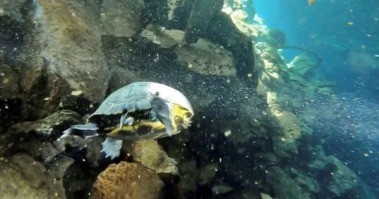 Antalya’daki obruk akvaryuma döndü