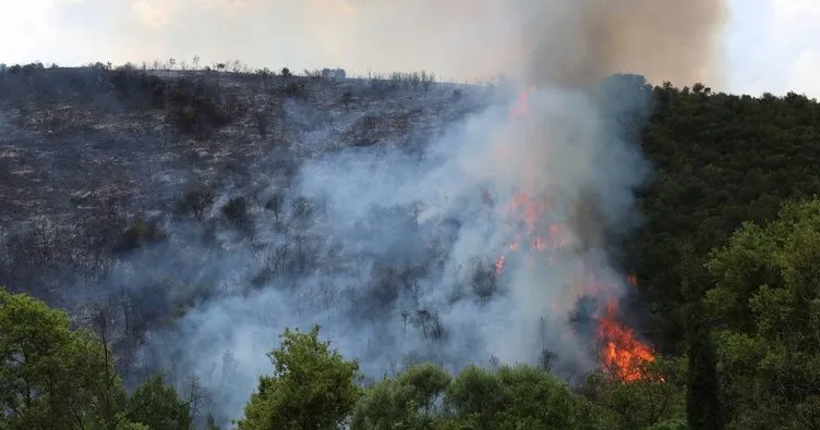 Kocaeli’de ormanlık alanda yangın: Ekipler müdahale ediyor!