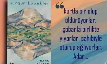 Hikaye içinde hikaye: ‘Sürgün Köpekler’