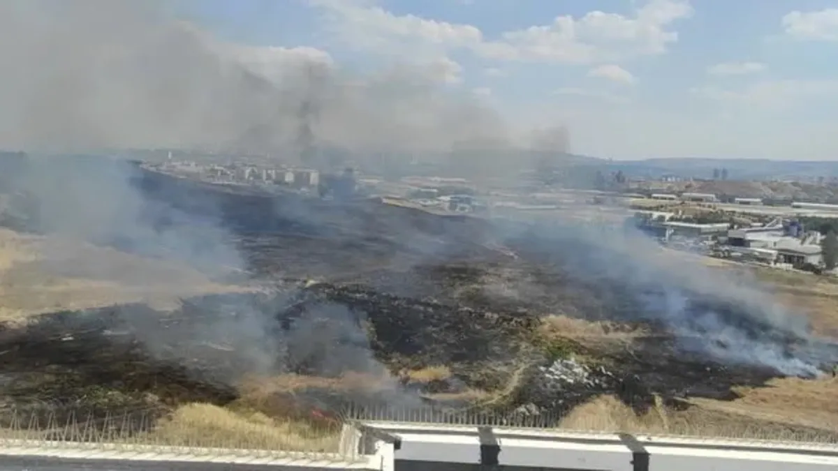 Ankara'daki orman yangınına müdahale eden ekipler