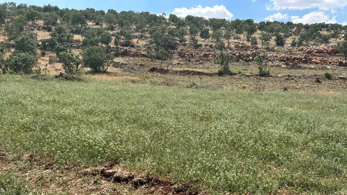 Güneydoğu'da bir köyde çekilmiş, kadastro çalışması yapan ekibi gösteren temsili fotoğraf.