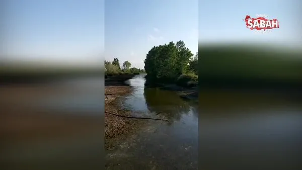 Samsun Çarşamba Ovası’ndaki susuzluk böyle görüntülendi | Video