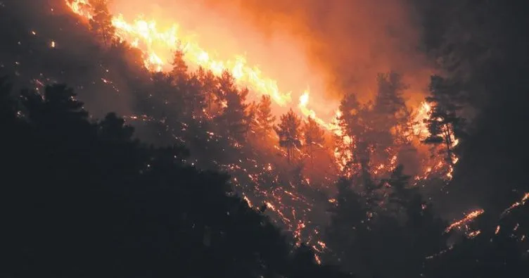 Milas’ta orman yangını kontrol altına alındı