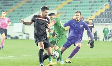 Toros kaplanı pürneşe