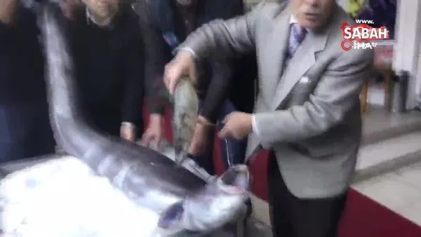 Marmara'da yakalanan 3 metre boyundaki dev yılan balığı görenleri hayrete düşürdü!