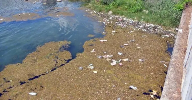 Seyhan Nehri çöplüğe döndü