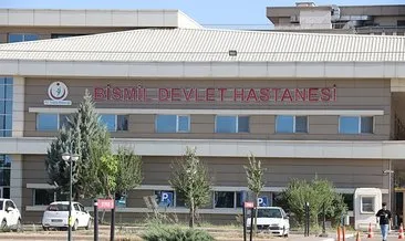 Dedesini ziyarete giden Asel Lina, süs havuzuna düşerek boğuldu #diyarbakir