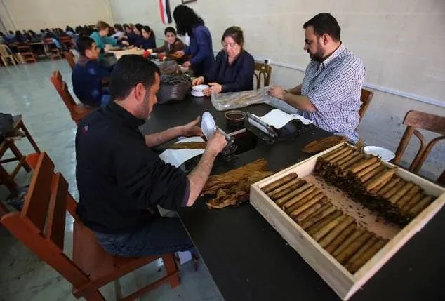 Savaşın sürdüğü Suriye’de tütün endüstrisi canlandı