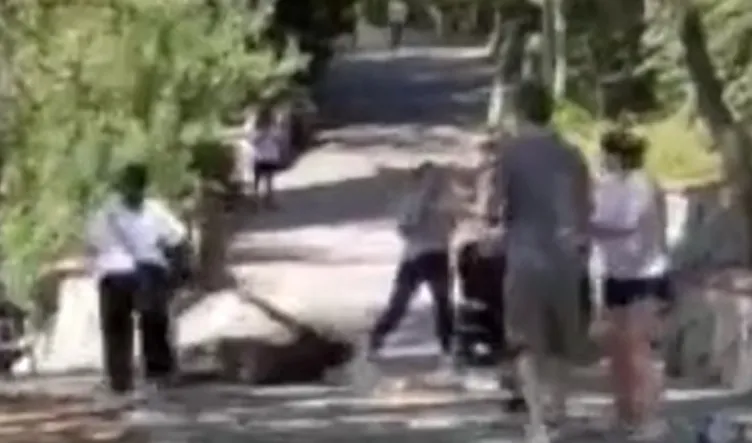 Maçka Parkı’nda dehşete düşüren görüntü: Kendisini uyaran kadın ve adama kabusu yaşattı!