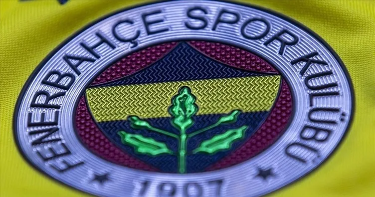 Kanarya’dan milyarlık sermaye artırımı