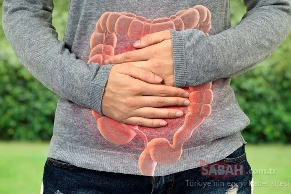 Bu diyetle 5 günde 2 kilo kaybedeceksiniz! İşte inanılmaz mikrobiyota diyeti...