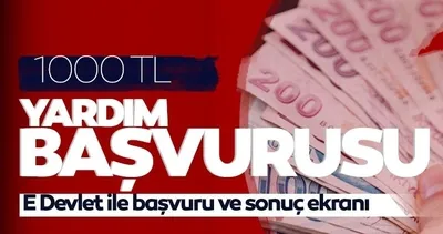 1100 TL pandemi sosyal yardımı başvuru ve sonuç sorgulama ekranı! e-Devlet ile 1000 TL sosyal yardım parası başvurusu nasıl yapılır?