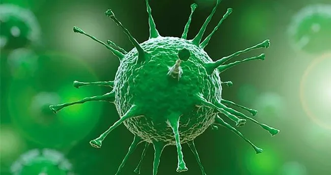 19 agustos koronavirus tablosu son dakika duyuruldu 19 agustos korona tablosu ile bugunku turkiye corona virusu vaka vefat verileri sayfa 9 son dakika haberler