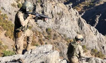 Terör örgütü YPG/PKK’ya yılın son ayında ağır darbe