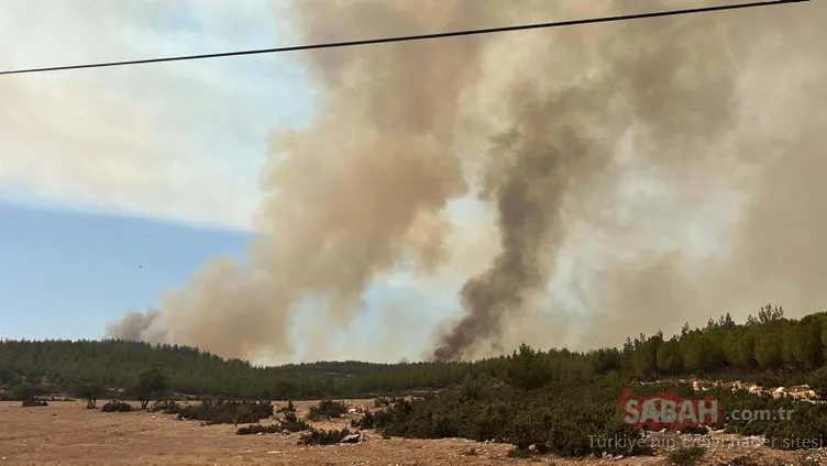 Muğla’daki faciaya sebep olup, tutuklanmışlardı: Baba-oğul yangını bakın nasıl çıkarmış! İfadeleri pes dedirtti