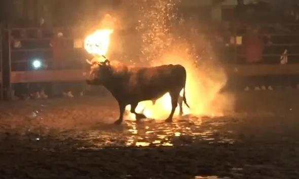 Böyle bir vahÅet görülmedi... Diri diri yaktılar...