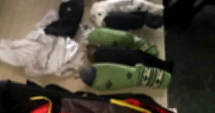 Yolcu çantasındaki çoraplardan 11 güvercin çıktı