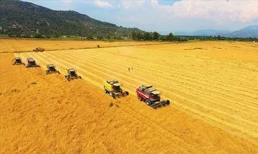 TMO Yozgat genelinde 800 bin ton hububat alımı gerçekleştirdi