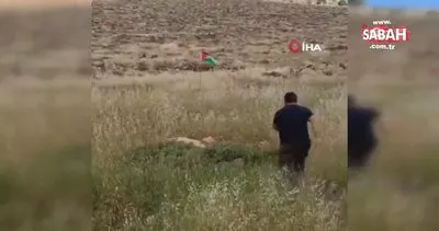 Batı Şeria’da Filistin bayrağını tekmeleyen İsrailli, bubi tuzağına yakalandı | Video