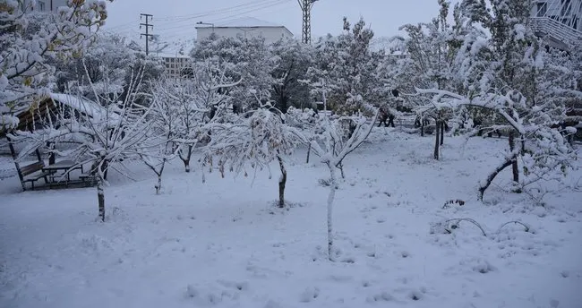 Bitlis’te kar yağışı etkili oldu