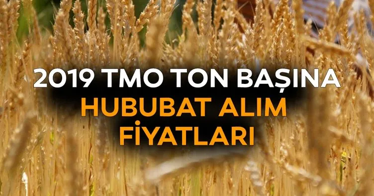 Bu yıl TMO buğday ve arpa alım fiyatları ne kadar? Başkan Erdoğan’dan 2019 hububat fiyatları ve mazot gübre desteği açıklaması