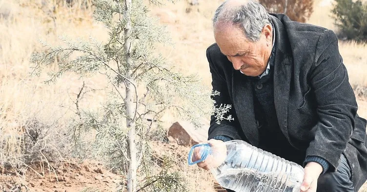 Helal olsun Mustafa amca