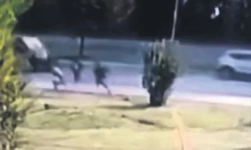 Köpeklerden kaçan Zana’ya araba çarptı