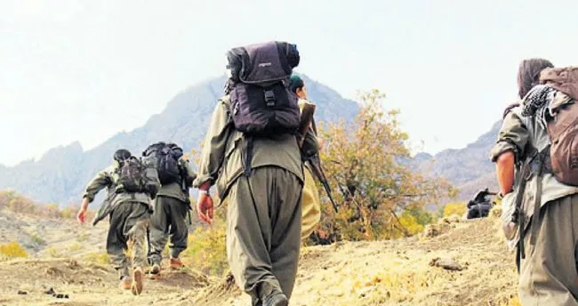 Terör örgütü PKK’da çözülme hızlandı, 4 örgüt mensubu daha ikna yoluyla teslim oldu