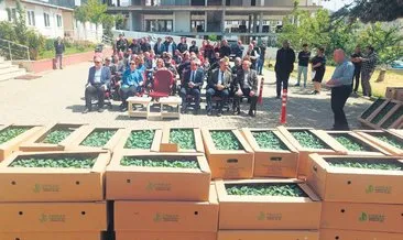 Tekirdağ’da çiftçilere 126 bin fide dağıtıldı #tekirdag