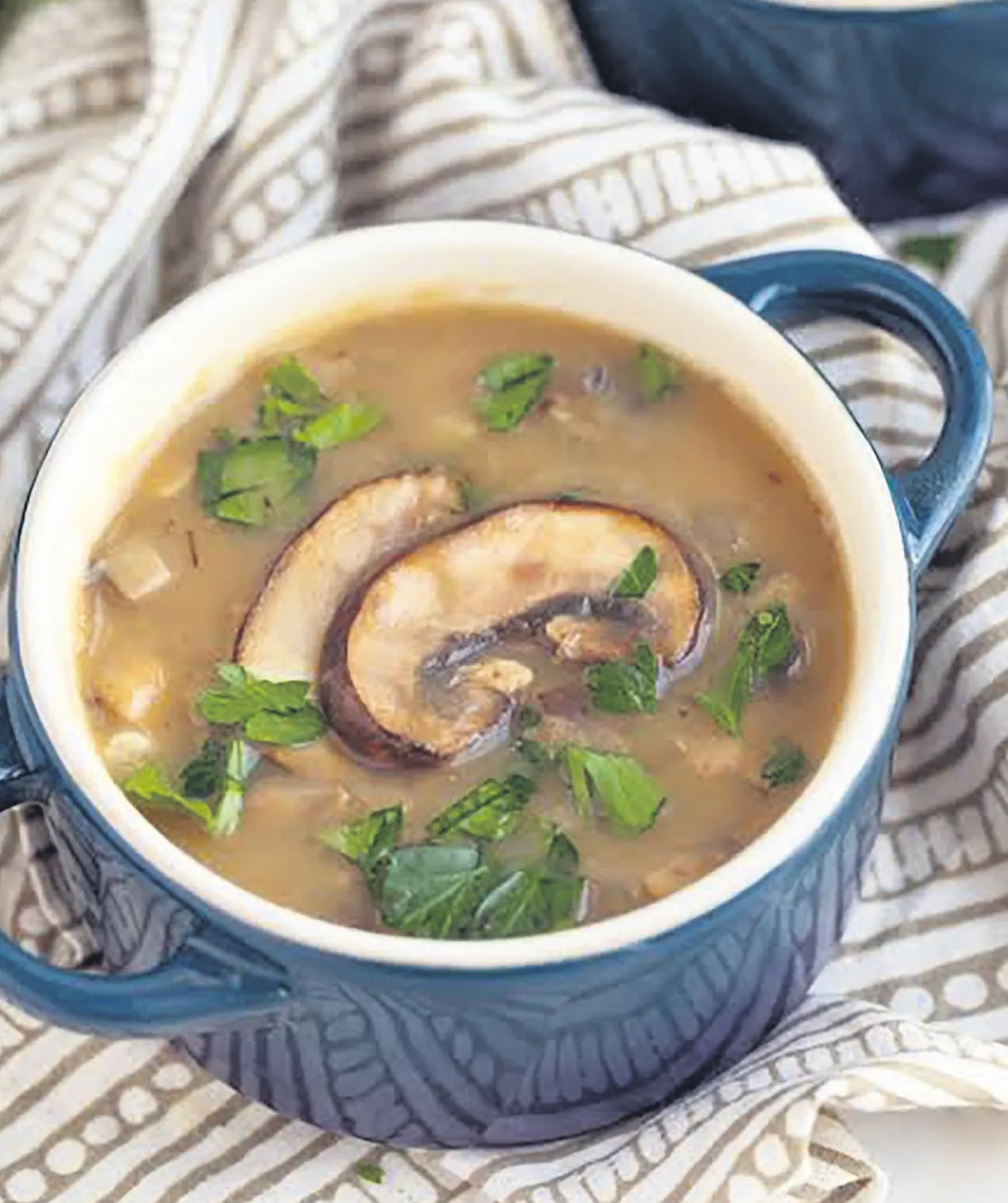 Kestane mantarı ile tarifler – İDİL AÇIKALIN Kestane mantarı ile tarifler – İDİL AÇIKALIN