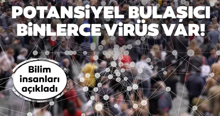 İnsanlara bulaşabilecek 850 bin virüs var! Araştırmacılar yeni pandeminin peşinde!