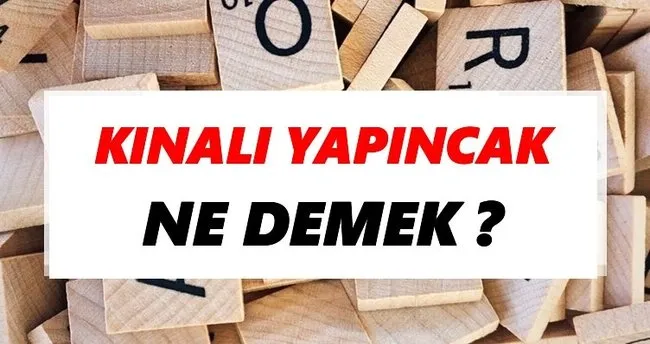 Kınalı yapıncak Ne Demek? TDK’ya Göre Kınalı yapıncak Sözlük Anlamı Nedir?