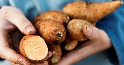 Bu besinler diyabetle savaşıyor! İşte diyabetle savaşan 20 etkili besin