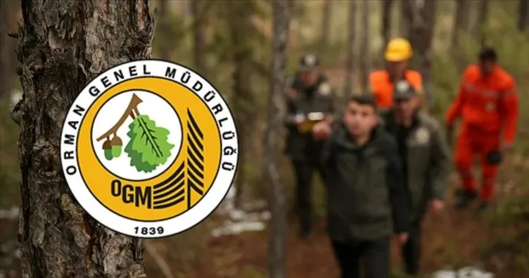 OGM PERSONEL ALIMI İLANI 2025: Orman Genel Müdürlüğü OGM işçi alımı başvuruları başladı mı, hangi tarihlerde, şartları neler?