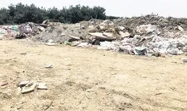 Ormanın kıyısında çevre katliamı