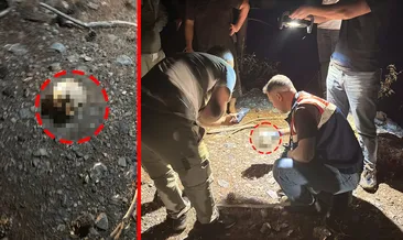 Yer Antalya! Hayvanlarını otlatan çoban ormanlık alanda buldu: Ekipler harekete geçti! #antalya