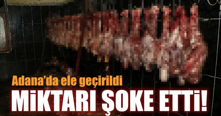 Adana’da kaçak tavuk kesimhanesine baskın: 3 ton tavuk eti ele geçirildi