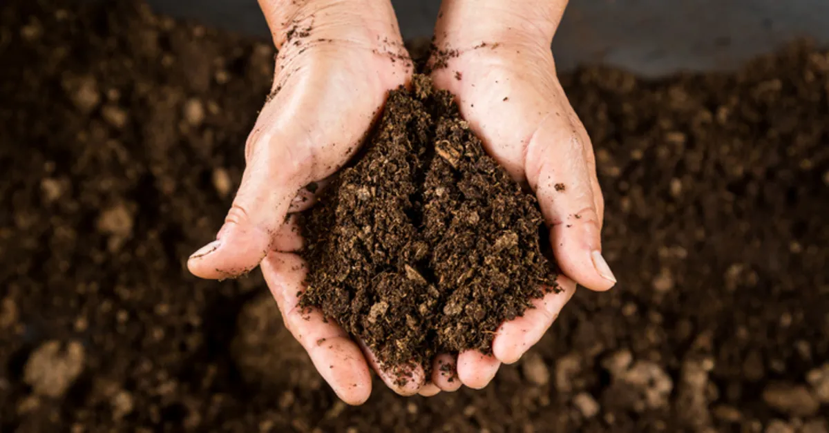Humuslu Toprak Nedir? Humuslu Toprak Nerede Bulunur, Özellikleri Neler, Verimli Mi?