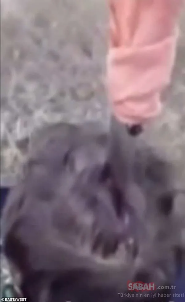 Polisler şoke oldu! Nefes almak için kafasına bıçak sapladı