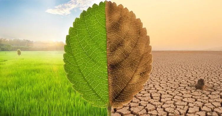 MÜSİAD’tan iklim manifestosu! Gıda israfını azaltacak devlet politikasına koşulsuz destek