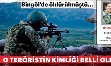 Son dakika: Bingöl’de öldürülen PKK’lı kadın terörist, gri listede çıktı