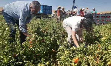Çocuklar tarla yerine okula gidecek