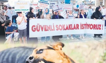 ‘Başıboş köpek sorununa dur de’ yürüyüşü
