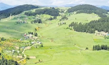 Kümbet Yaylası kana bulandı: 3 ölü 1 yaralı #giresun