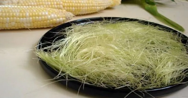 misir puskulu cayi faydalari nelerdir nasil demlenir misir puskulu cayi yararlari saglik haberleri